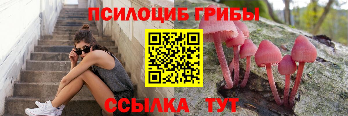 Ирбит  Псилоцибиновые грибы мицелий  Псилоцибиновые грибы прущие грибы  Вход с VPN 